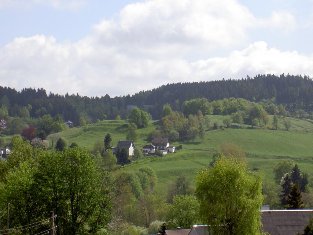 Gasthof 'Zum Reifberg' 일메나우 객실 사진