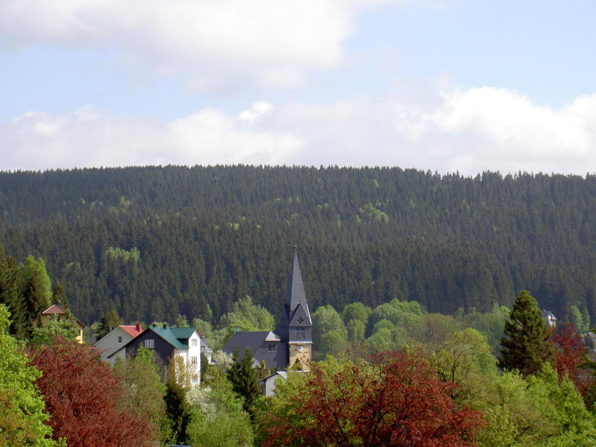 Gasthof 'Zum Reifberg' 일메나우 외부 사진